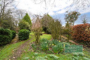 Photo 10- click for photo gallery